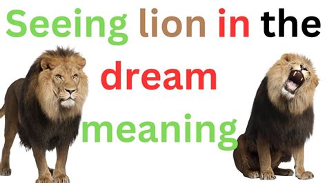 Dreaming of Lions 2025
